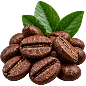 Cafeína